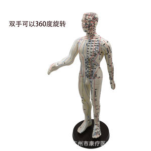 Modelo de acupuntura Huayikang, diagrama claro de meridianos y puntos de acupuntura humanos para práctica, reutilizable, clase I - Product Image 3