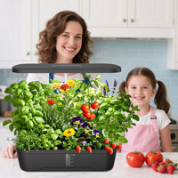 Pots de fleurs intelligents et plantes en pot, équipement d'agriculture hydroponique à haut rendement pour la culture de fraises et de tomates