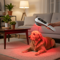 Appareil de luminothérapie LED PDT 5W rechargeable pour soulager la douleur chez le chien, sûr et fiable pour une utilisation à domicile