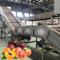 Industriële Fruitpuree Jam Maken Machine Abrikozenproductielijn