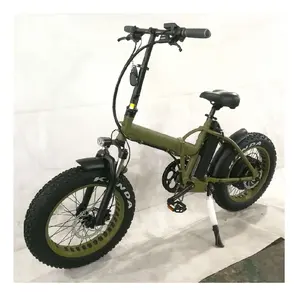 सस्ते नए मॉडल शक्तिशाली ईबाइक 1000w 48v ई-बाइक फैटबाइक फोल्डिंग बाइक सिटी इलेक्ट्रिक बाइक इलेक्ट्रिक बाइक 1000w बिक्री के लिए