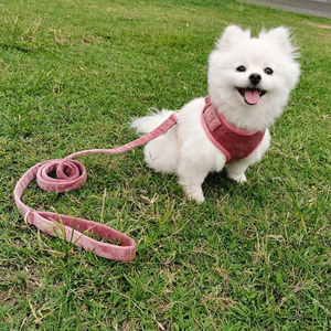 メーカーカスタマイズカラー高級コーデュロイ子犬ウォーキングギア犬ハーネスリーシュカラーコンボ - Product Image 6