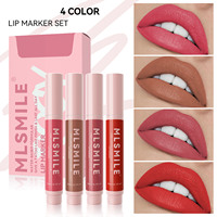 Tasse non collante longue durée Colorable Matte Lip Liner Marker Pen Lipstick Liquid Set