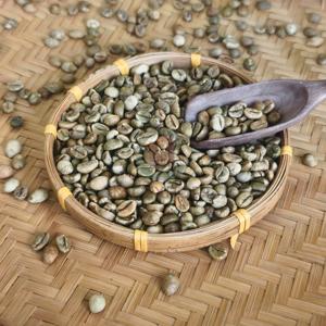 Tamaño de pantalla de alta calidad 18 Vietnam Arabica Granos de café verde Sabor natural puro Exportación a granel 24 meses Vida útil - Product Image 3