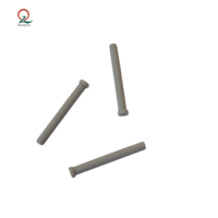 Conector de Cavity Plug TE 2373921-1, de Plástico Gris PA GF, para Sellado Automotriz AMP