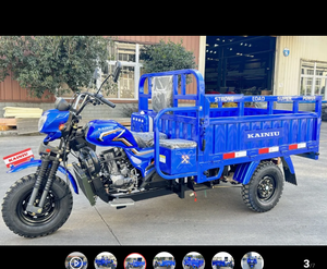 250cc Xăng Xăng hàng hóa động cơ ba bánh cho người lớn trong cơ thể mở giá cả hợp lý với sidecar - Product Image 6