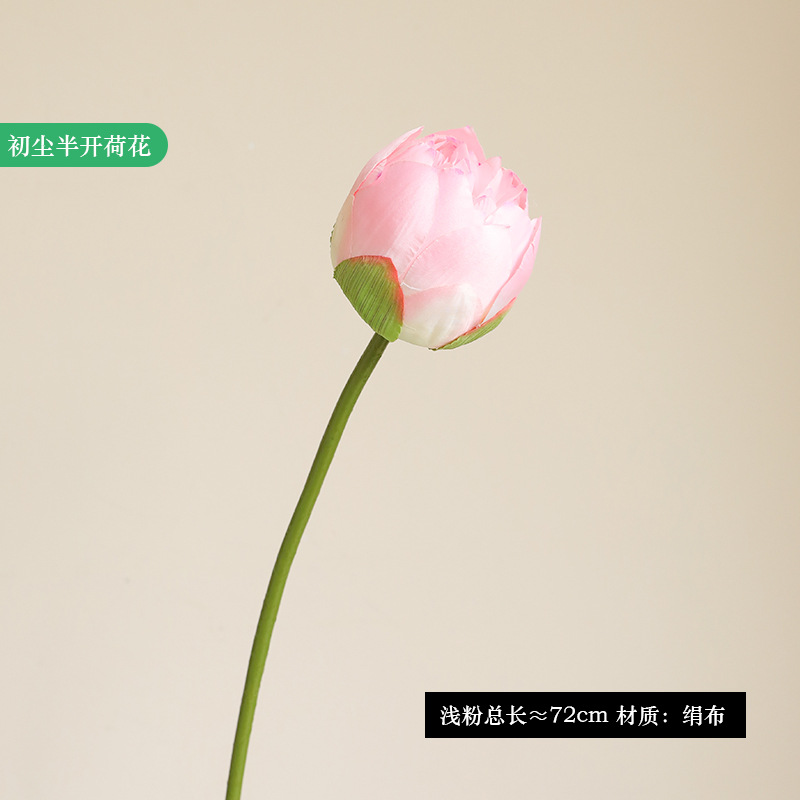 Polvo translúcido color loto, tono medio.