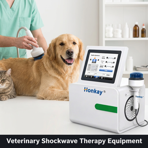 Máquina de Terapia de Ondas de Choque Enfocadas para Animales, con Control de Pantalla ODM OEM, para Reducir el Dolor Muscular - Product Image 1