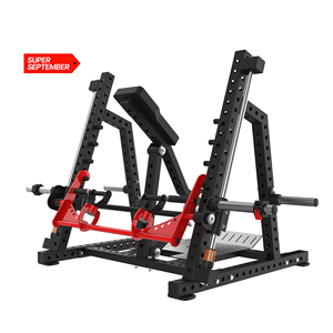 TOPTONS Super September K175 Attrezzatura da Palestra di Alta Qualità per il <span class=keywords><strong>Body</strong></span> Building Vogatore a Doppia Traccia - Product Image 2