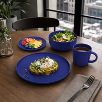 Service de table en céramique de luxe bleu mat, 16 pièces, avec assiettes, bols, tasses, compatible lave-vaisselle et micro-ondes, pour usage familial