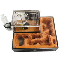 Fourmilière Modulaire Démontable en Forme de Château avec Zone d'Activité – Habitat DIY pour Colonies de Fourmis