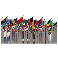 Drapeau national de l'Azerbaïdjan, fanion 3x5 pieds, double face, pour extérieur, robuste, 100% polyester, écologique, anti-plis, durable