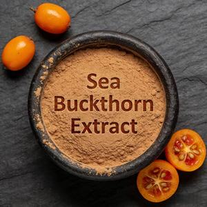 Extrato de Espinheiro Marítimo <span class=keywords><strong>100</strong></span>% Solúvel em Água, Pó de Grau Alimentício, Suplemento Dietético Natural à Base de Ervas para a Saúde Humana em Embalagem de Tambor - Product Image 3