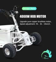 4000W 4WD Scooter électrique inoxydable glacière pêche réfrigérateur chariot Lithium Durable Scooter glace engins de pêche