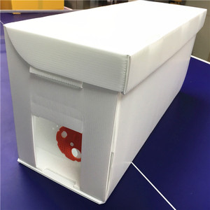 Equipo de Apicultura, Caja de Núcleo para Colmena de Abejas, Colmena de Plástico Corflute - Product Image 2