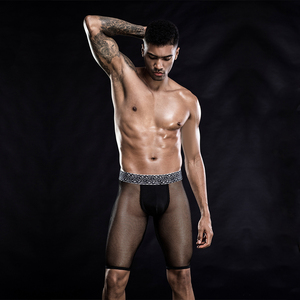 JSY, ropa interior sexy para hombre, bragas de malla transpirable, lencería sexy erótica para hombre transparente para adultos - Product Image 4