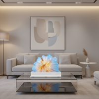 Pantalla OLED Transparente de Escritorio con 43% de Transparencia, Autoluminiscente, Tamaños de 30/55/77 Pulgadas, Ángulo de Visión de 178° para 2.1 4K UHD, Punto de Acceso WiFi