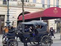 Carrosse royal Yiyang de style européen, carrosse électrique à cheval, chariot en acier pour mariage, transport spécial pour 4 à 6 personnes, tourisme