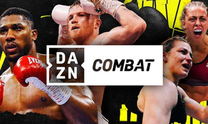 Servicio de Consultoría de Creación de Videos con IA <span class=keywords><strong>Danz</strong></span>, Guía para la Creación de Clips de Baile Animados para Contenido Comercial - Product Image 4