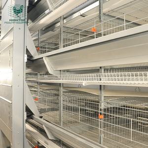 Equipo Avícola para Gallinas Ponedoras, Sistema de Jaulas Automáticas Tipo H de Acero Galvanizado en Caliente para Granjas Avícolas en Angola - Product Image 2