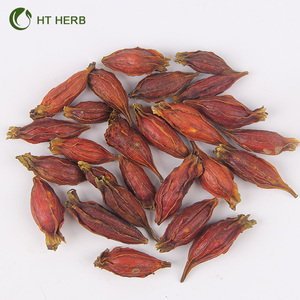 Semillas de Gardenia naturales, frutos secos - Product Image 2