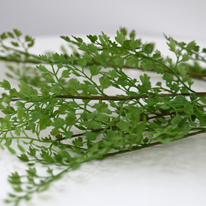 Vente en gros de <span class=keywords><strong>plantes</strong></span> artificielles d'<span class=keywords><strong>arum</strong></span> à 3 branches en latex véritable pour mariage, arrangements floraux décoratifs pour la maison et le bureau. - Product Image 4