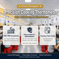 Thermomètre à viande OEM 2-en-1 avec double sonde externe, grand écran rétroéclairé, alarme de mise hors tension automatique, minuterie, pour la maison, le barbecue, la cuisine, le four à micro-ondes