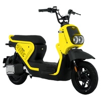 Modèle Kuma ------ Vélos électriques Ebike Moto électrique Batterie au lithium 48V 20ah Ebike Moteur 500w Vélo électrique 20 pouces