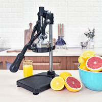 Handmatige Thuisgebruik Juicer Persmachine Fruit-En Groenteverwerker Met Pomp Voor Voedingswinkels