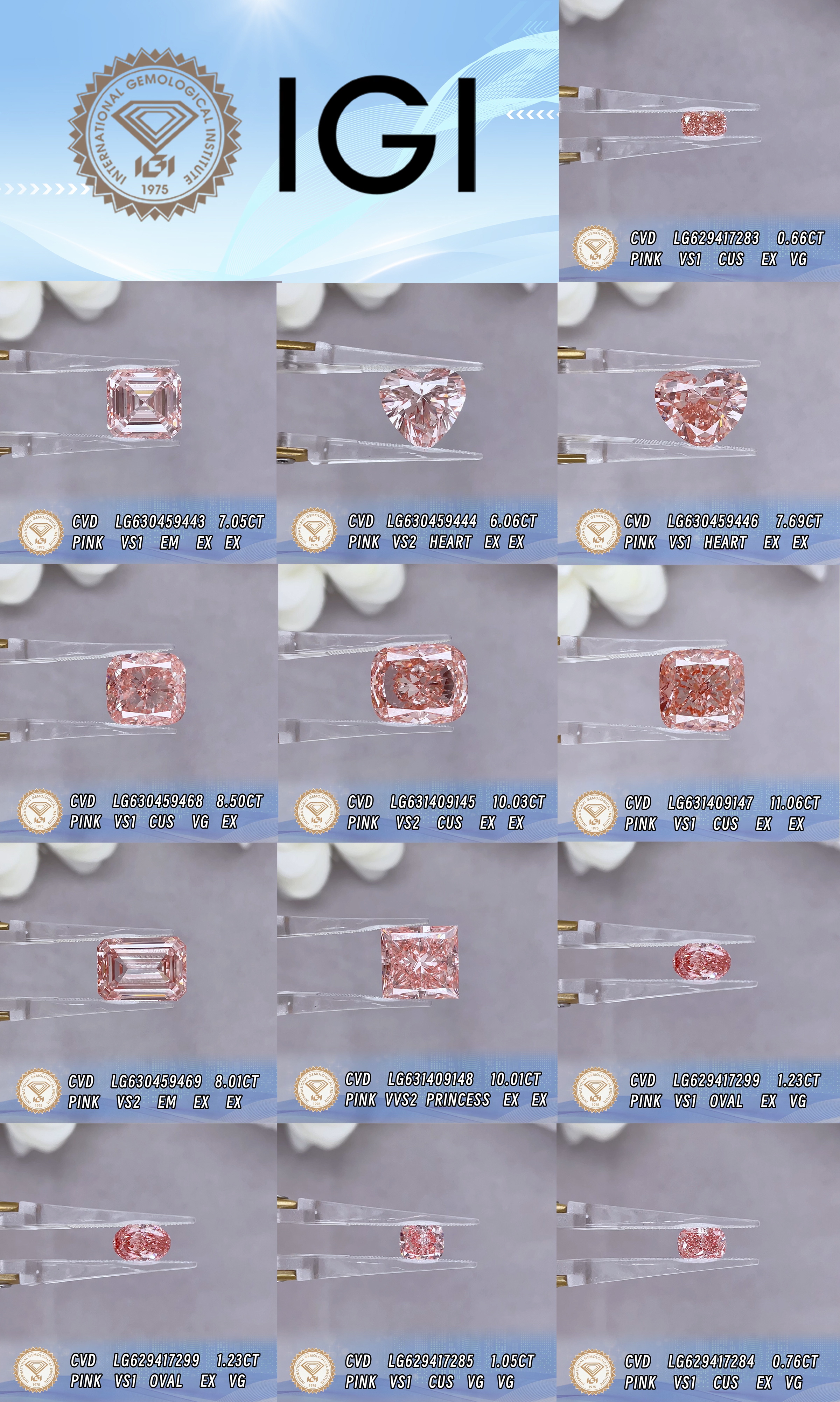Fancy Pink Lab Grown Diamonds Huge Sizes IGI Certificates