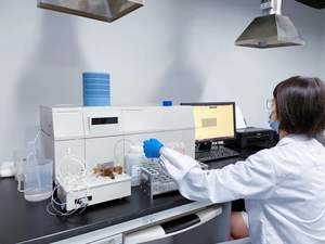 Pruebas profesionales de laboratorio Servicio de inspección Prueba de grabado ácido macroscópico de material de soldadura - Product Image 4