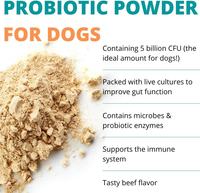 Poudre probiotique et prébiotique personnalisée pour animaux de compagnie Supplément de soins de santé pour chien Friandise nutritionnelle pour chat pour la flore intestinale Appareil digestif équilibré