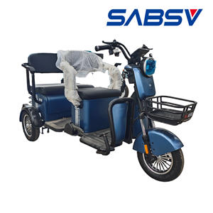 Tricycle électrique pas cher, neuf, 48V, rickshaw, carrosserie ouverte, taxi pour personnes âgées, capacité de 2 à 3 places, fabriqué en Chine - Product Image 6