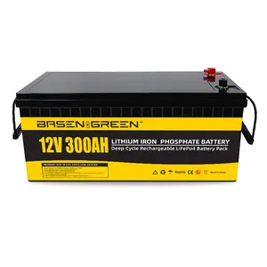 Basen Lifepo4 12v Battery Lithium Ion Battery Pack 12V 24v 100ah 200ah 300ah 12v Lifepo4 Battery For Solar