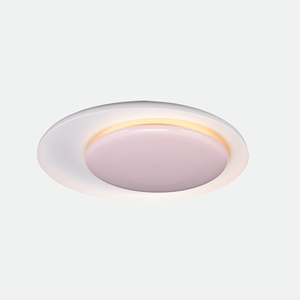 Lámpara de Techo Nórdica de Metal y Acrílico, Luz Blanca Cálida para Dormitorio, Pasillo, Vestíbulo, Fábrica de Origen, OEM, ODM - Product Image 4