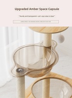 Nouvelle structure d'escalade électrique en bois pour chat, style capsule spatiale double, design mignon, maison pour animaux toutes saisons, motif solide, pour chats