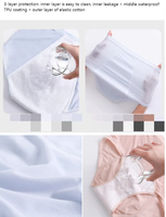 Offres Spéciales personnalisé étanche absorbant taille haute femmes sous-vêtements période imperméable slips femmes physiologique pantalon