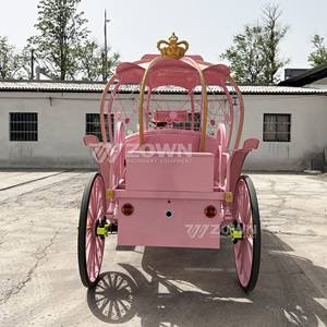 Carruaje Eléctrico Rosa con Forma de Calabaza, con Corona Dorada y Ruedas, para Transporte en Bodas al Aire Libre - Product Image 3