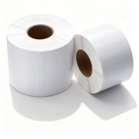 Label Sintetis  Dapat Disesuaikan  Label Perekat untuk Printer Godex, Kemasan Papan Nama Luar Ruangan dan Tahan Air