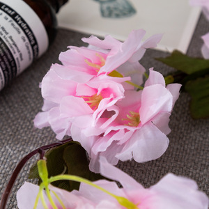 Baishun Guirlandes de fleurs artificielles en soie rose cerisier 100cm-200cm pour décoration de mariage et de maison - Product Image 4