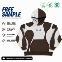 Hoodies unisexes épais et surdimensionnés, color block, patchwork contrastant, streetwear, hoodies personnalisés, vente en gros