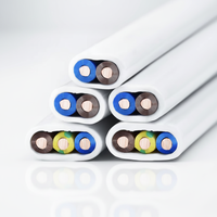 JINDE BVVB Niederspannungs-Flachkupferkabel 2/3-adrig 1,5-10mm PVC-isoliert Ummantelt CE ROHS für Industrie und Haushaltsgeräte