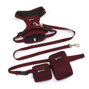 Luxuriöses Hundeleckerli-Beutel-Set mit individuellem Logo aus Tweed-Twill, gepolstert, inklusive Halsband, Leine und Anti-Zug-Hundegeschirr – Geringe Mindestbestellmenge, Direkt vom Hersteller - Product Image 4