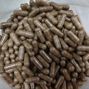 Compléments alimentaires en marque privée OEM/ODM, prix de gros, capsules d'extrait de Ginkgo Biloba 500 mg, capsules de Ginkgo Biloba biologiques - Product Image 5