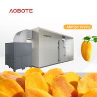 Séchoir alimentaire à pompe à chaleur de 1,3 tonne, technologie de pointe, pour pommes de terre, mangues, ananas