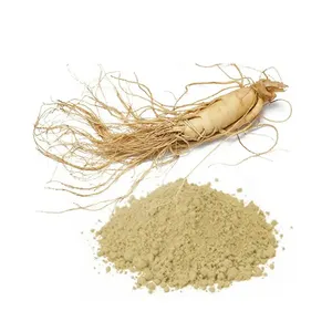 Suplemento DE SALUD 99% Extracto de raíz de ginseng rojo coreano polvo de ginseng para ginseng