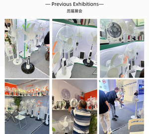 Hot Bán 18-Inch Năng Lượng Mặt Trời Fan 25W 15000MAh Pin Tầng Fan USB Đầu Ra Và Hẹn Giờ-Lý Tưởng Quạt Làm Mát Cho Cắm Trại & Sử Dụng Nhà - Product Image 5