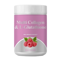 Poudre de peptides de collagène multi-sources OEM : favorise le métabolisme, aide à brûler les graisses, soutient la gestion du poids, soin de la peau, soutien articulaire, complément Saily