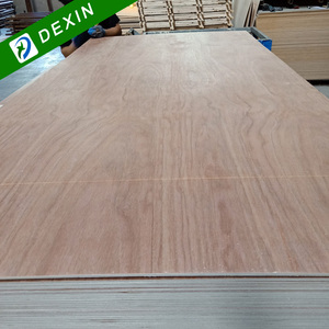 <span class=keywords><strong>Vendita</strong></span> Calda di Legno Compensato Laminato 3mm 6mm 9mm 18mm 4x8 in Tiglio/Betulla per Mobili - Product Image 3