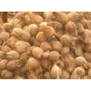 Coco seco de estilo Tropical, 100% Natural, fresco, proveedor de marca, precio barato, bajo pedido mínimo - Product Image 3